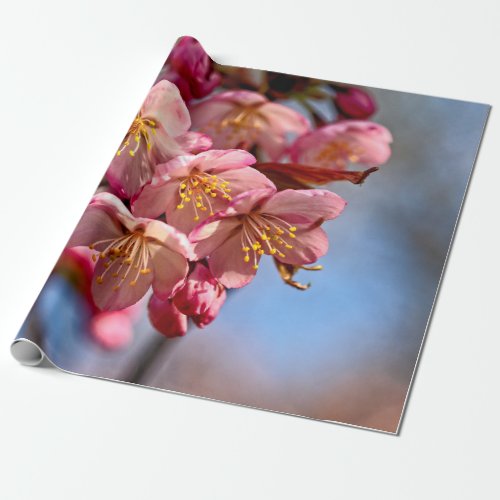 A Bunch Of Sweet Sakura Cherry Blossoms Wrapping Paper