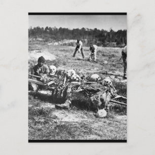 A Burial Party on the Battle-Field of Cold Harbor. Invitation Postcard