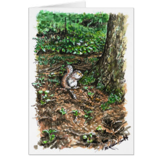 A busy squirrel cards