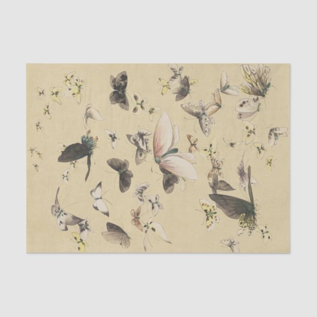 A Butterfly Convention Tissue Paper (Front)