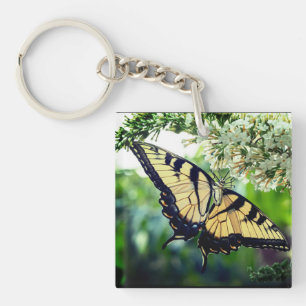 A butterfly keychain