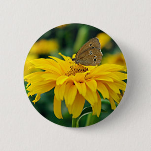 A butterfly on a yellow flower button