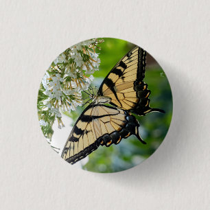 A butterfly with yellow and black wings button