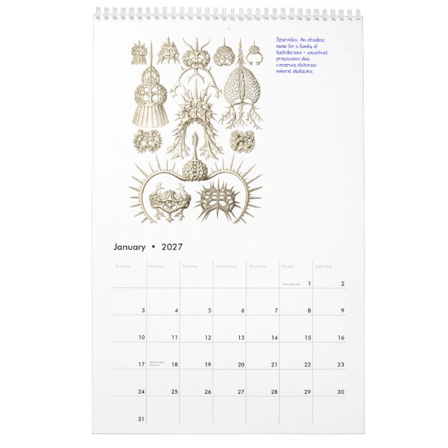 A Calendar from the Drawings of Ernst Haeckel. (Jan 2027)