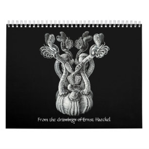A calendar from the drawings of Ernst Haeckel.