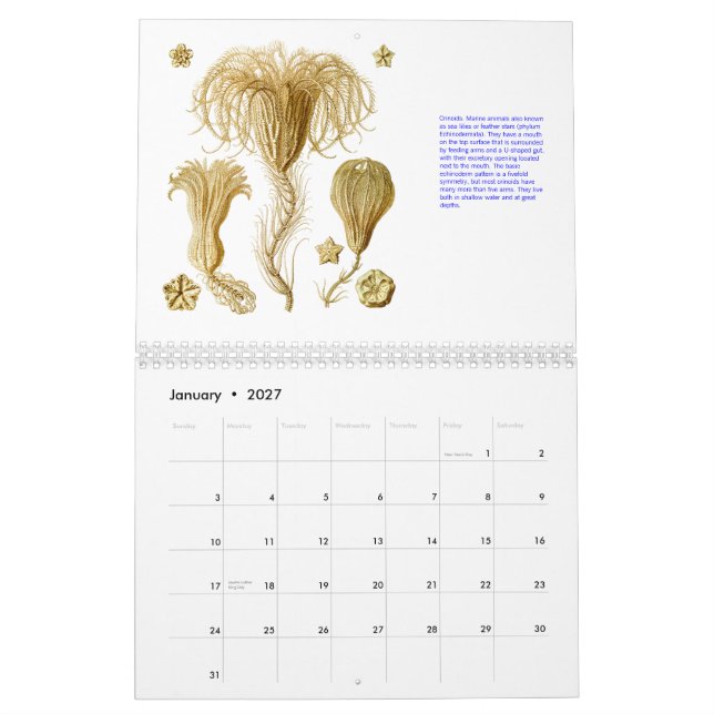 A calendar from the drawings of Ernst Haeckel. (Jan 2027)