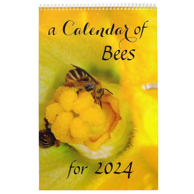 A Calendar of Bees for 2024 - 11 x 14¼ Inch (Cover)