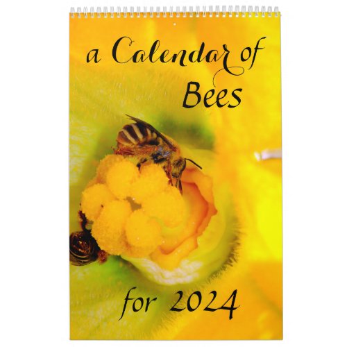 A Calendar of Bees for 2024 _ 11 x 14 Inch
