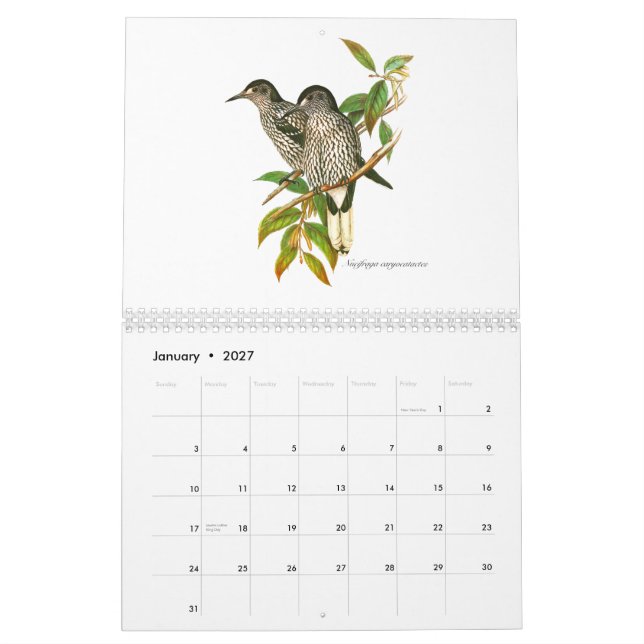 A calendar of bird painitings from John Gould. (Jan 2027)