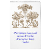 A calendar of microscopic plants and animals. | Zazzle