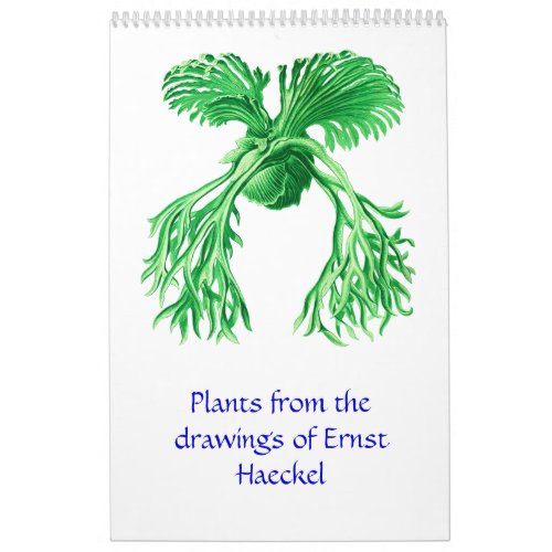 A calendar of plant drawings
