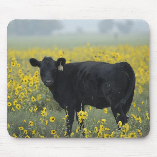 A calf amid the sunflowers of the Nebraska Mouse Pad (Front)