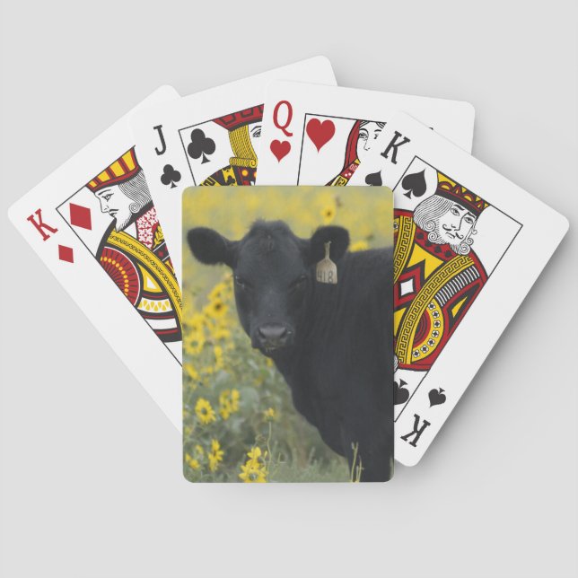 A calf amid the sunflowers of the Nebraska Poker Cards (Back)