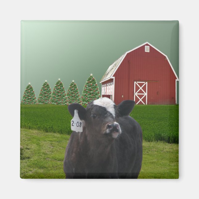A Calf's First Christmas Magnet (Front)