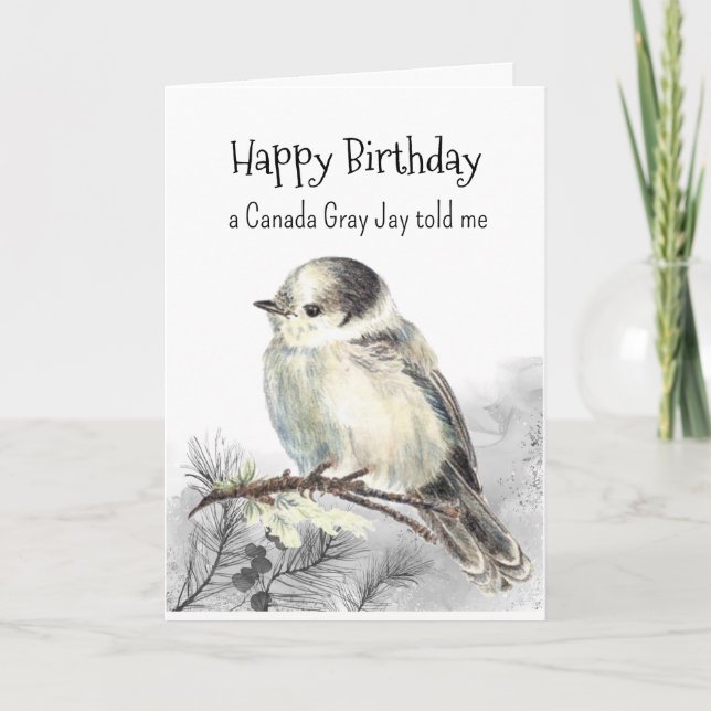 A Canada Gray Jay Personality Birthday Fun Bird Card (Front)