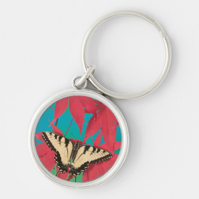 A Canadian Tiger Swallowtail Butterfly Keychain (Front)