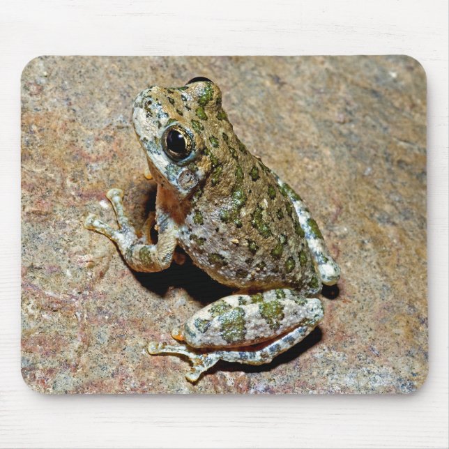A Canyon Treefrog Mouse Pad (Front)