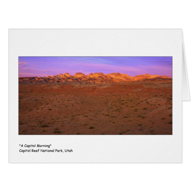 " A Capitol Morning " Cards (Front Horizontal)