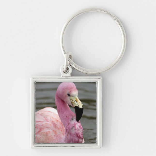 A captive photo of a Andean Flamingo Keychain (Front)