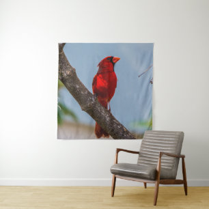 A Cardinal 57 x 57 Tapestry