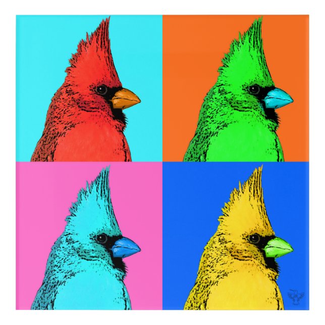 A Cardinal of a Different Color Acrylic Print (Front)