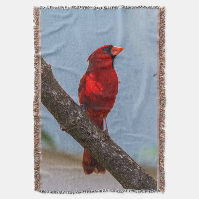 A Cardinal Throw Blanket (Front Vertical)