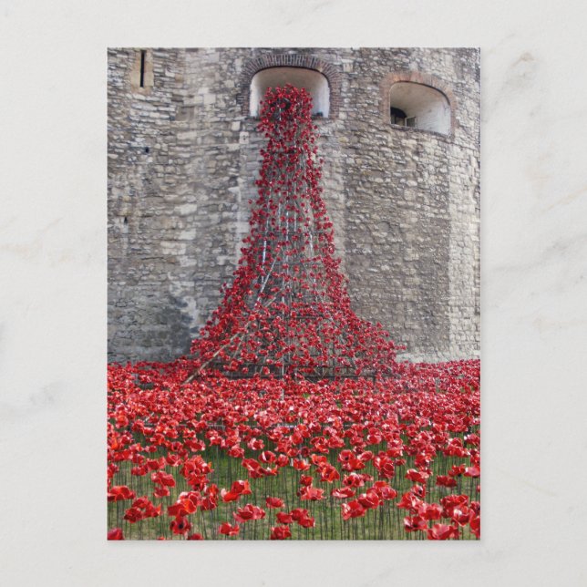 A Cascade Of Poppies At The Tower Of London Postcard (Front)