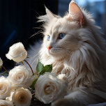 A Cat Calendar - By Catherine D. Marchand<br><div class="desc">A Beautiful Cat Calendar for the year 2024 featuring a variety of Cats
ranging for Himalayans,  Tuxedo,  Ragdoll cats and a few other mixes of kitty</div>