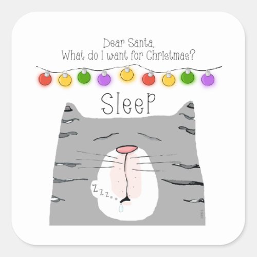 A Cat Christmas Gift Idea Santa Sleep  Square Sticker