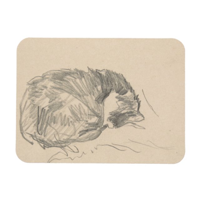A Cat Curled Up, Sleeping by Edouard Manet. Magnet (Horizontal)