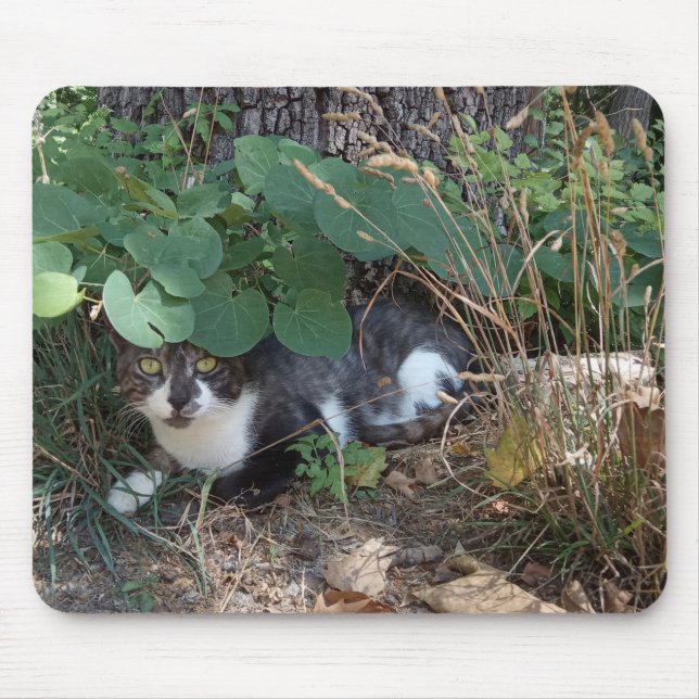 A Cat hiding Mouse Pad (Front)