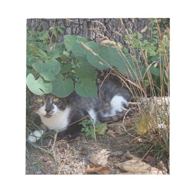 A Cat hiding Notepad (Front)