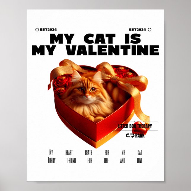 A Cat In The Box Therapy Happy Valentine Day Funny Poster (Front)