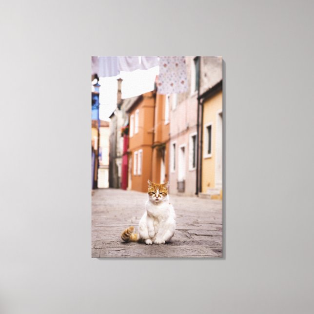 A cat in the streets of Burano, Italy.  2006. Canvas Print (Front)