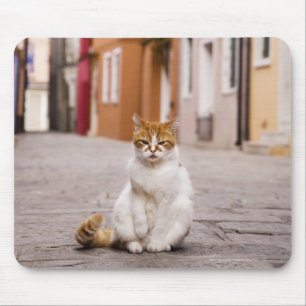 A cat in the streets of Burano, Italy.  2006. Mouse Pad