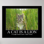 A Cat Is A Lion Indian Proverb Artwork Poster at Zazzle