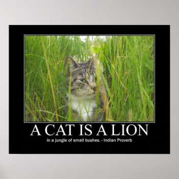 A Cat Is A Lion Indian Proverb Artwork Poster by artisticcats at Zazzle