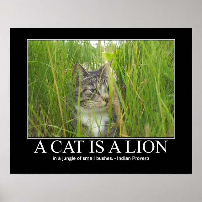 A Cat is a Lion Indian Proverb Artwork Poster (Front)