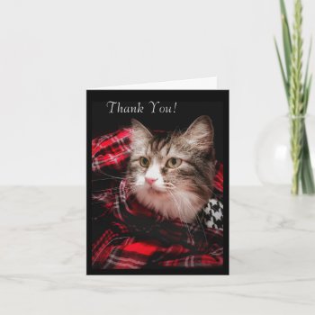 A Cat Lover's Thank You Note Card by Siberianmom at Zazzle