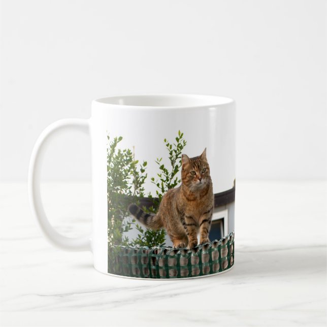 a cat on a mug (Left)
