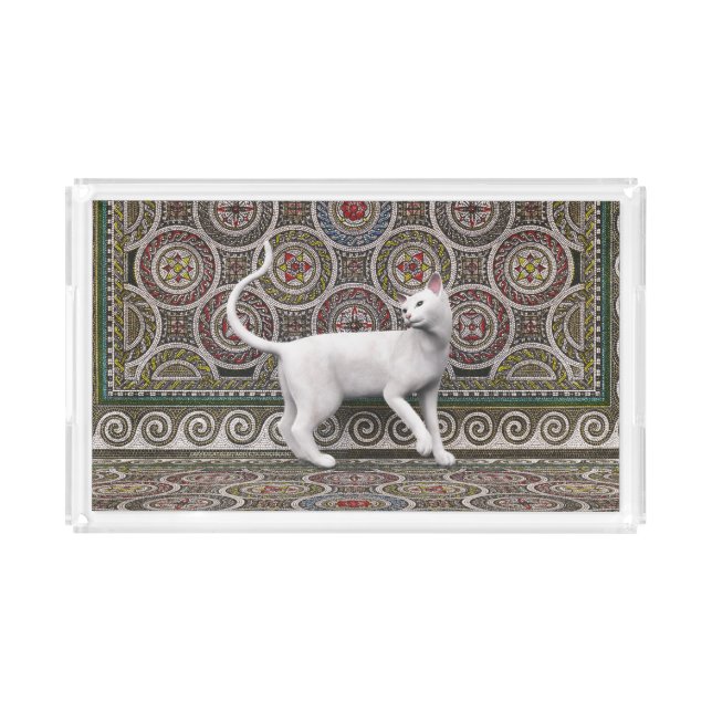 A cat on the mosaic acrylic tray (Front)