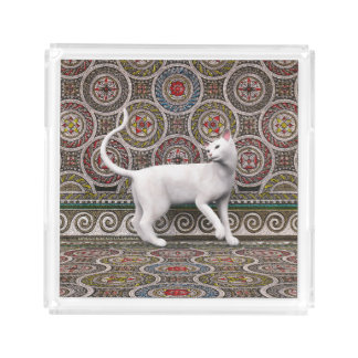 A cat on the mosaic acrylic tray