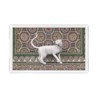 A cat on the mosaic acrylic tray