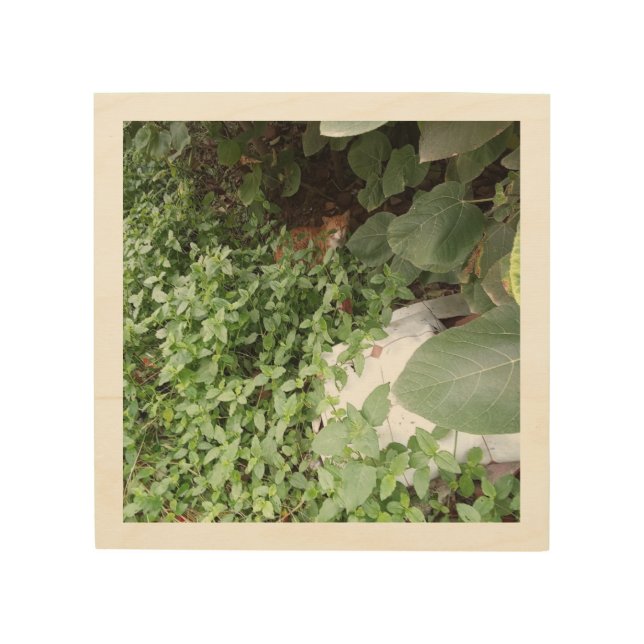 A cat resting in plants  wood wall art (Front)