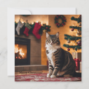 A cat with a Christmas tree and fireplace Holiday Card