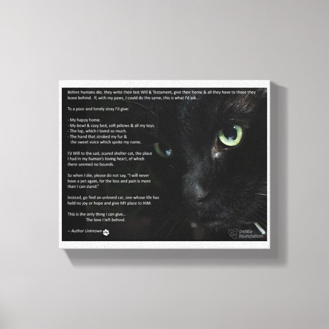 a cats dying wish canvas (Front)