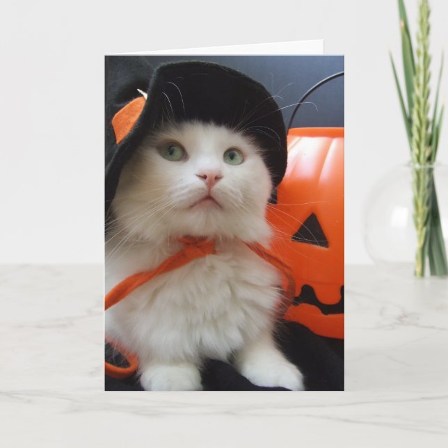 A Cat's Halloween Card (Front)
