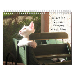 A Cat&#39;s Life Calendar - With Fun Quotes