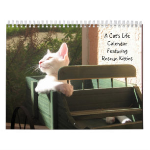 A Cat's Life Calendar - With Fun Quotes