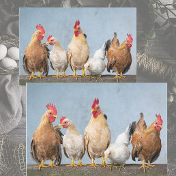 A Chaotic Chicken Portrait Pt 1 Tissue Paper